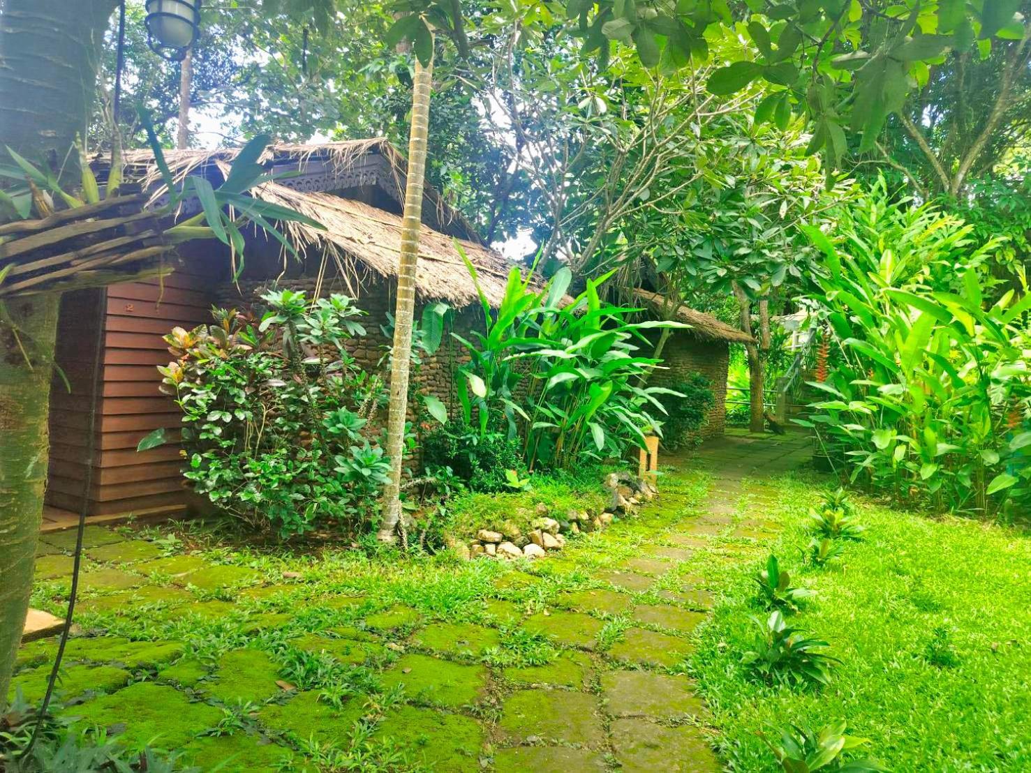 Hot Coffee Guest House And Resort Ban Mae Na Chon Exteriör bild