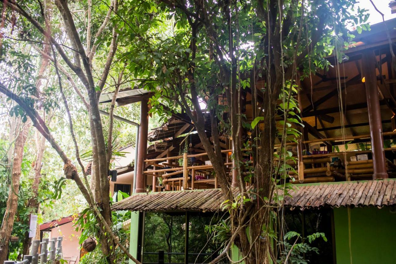Hot Coffee Guest House And Resort Ban Mae Na Chon Exteriör bild